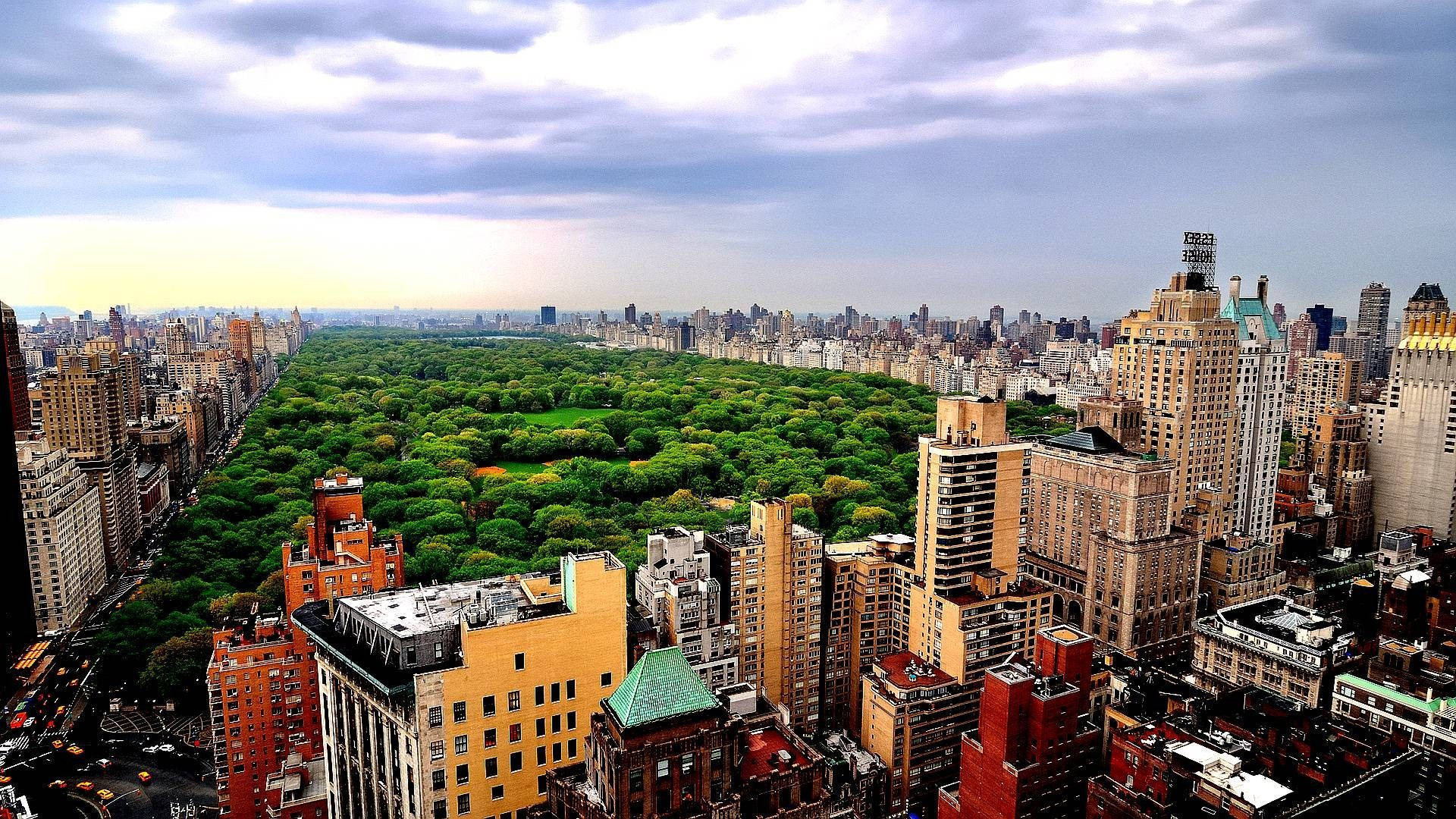 New York Skyline From Central Park Wallpaper