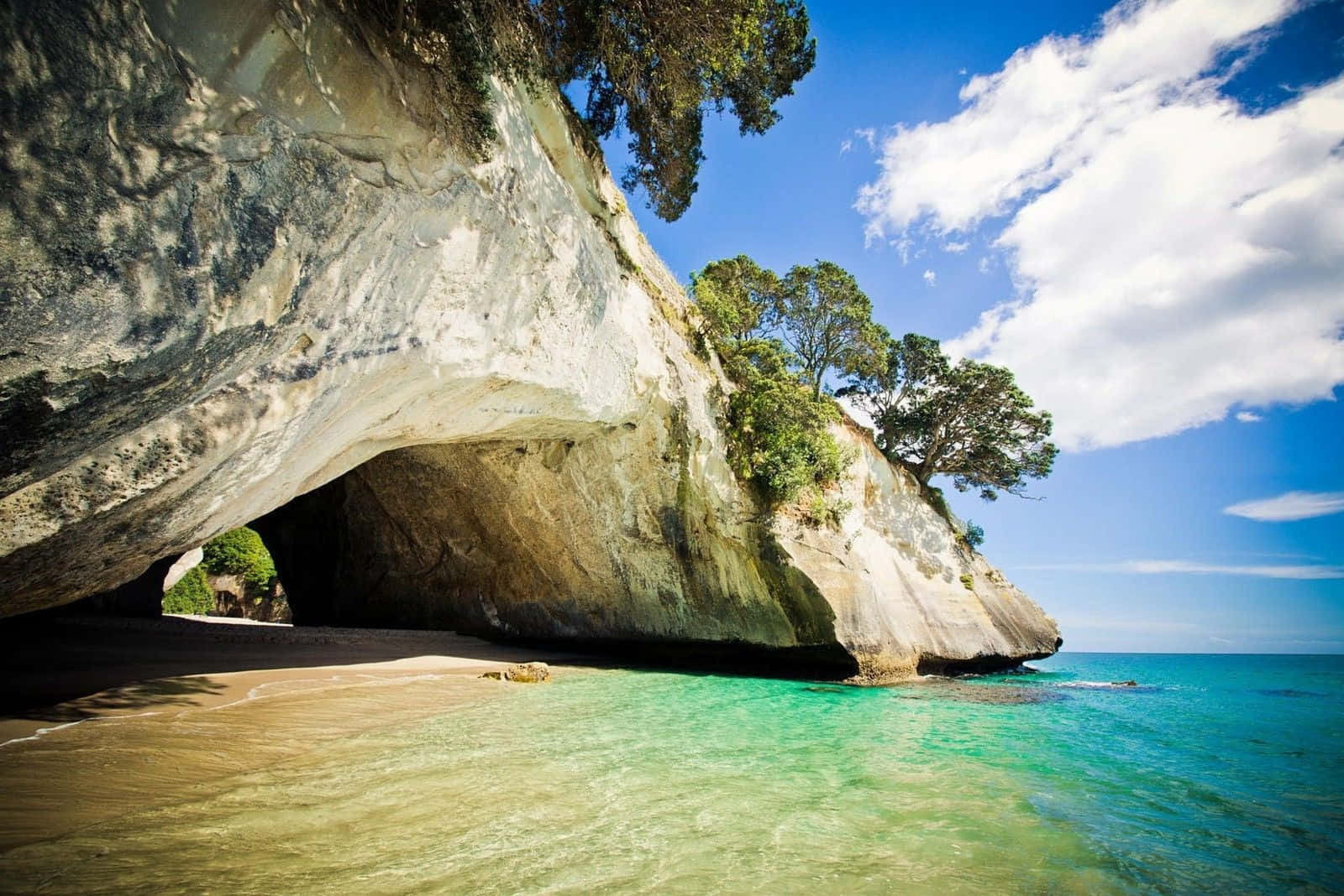 "Explore the Alluring Beauty of New Zealand"