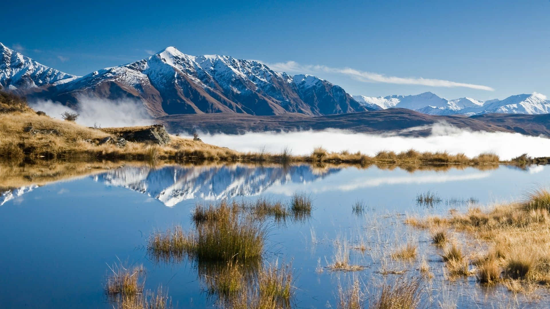 "Enjoying Scenic Views of New Zealand."
