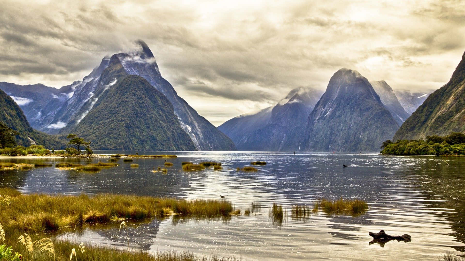 Enjoy the unique beauty of nature in New Zealand
