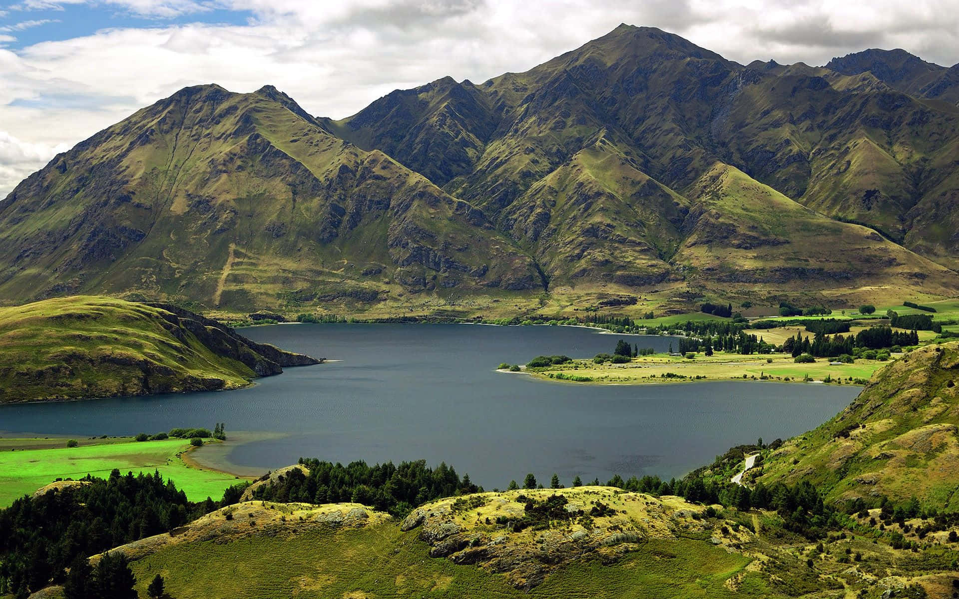 Etfrodigt Grønt Bjergområde I New Zealand.
