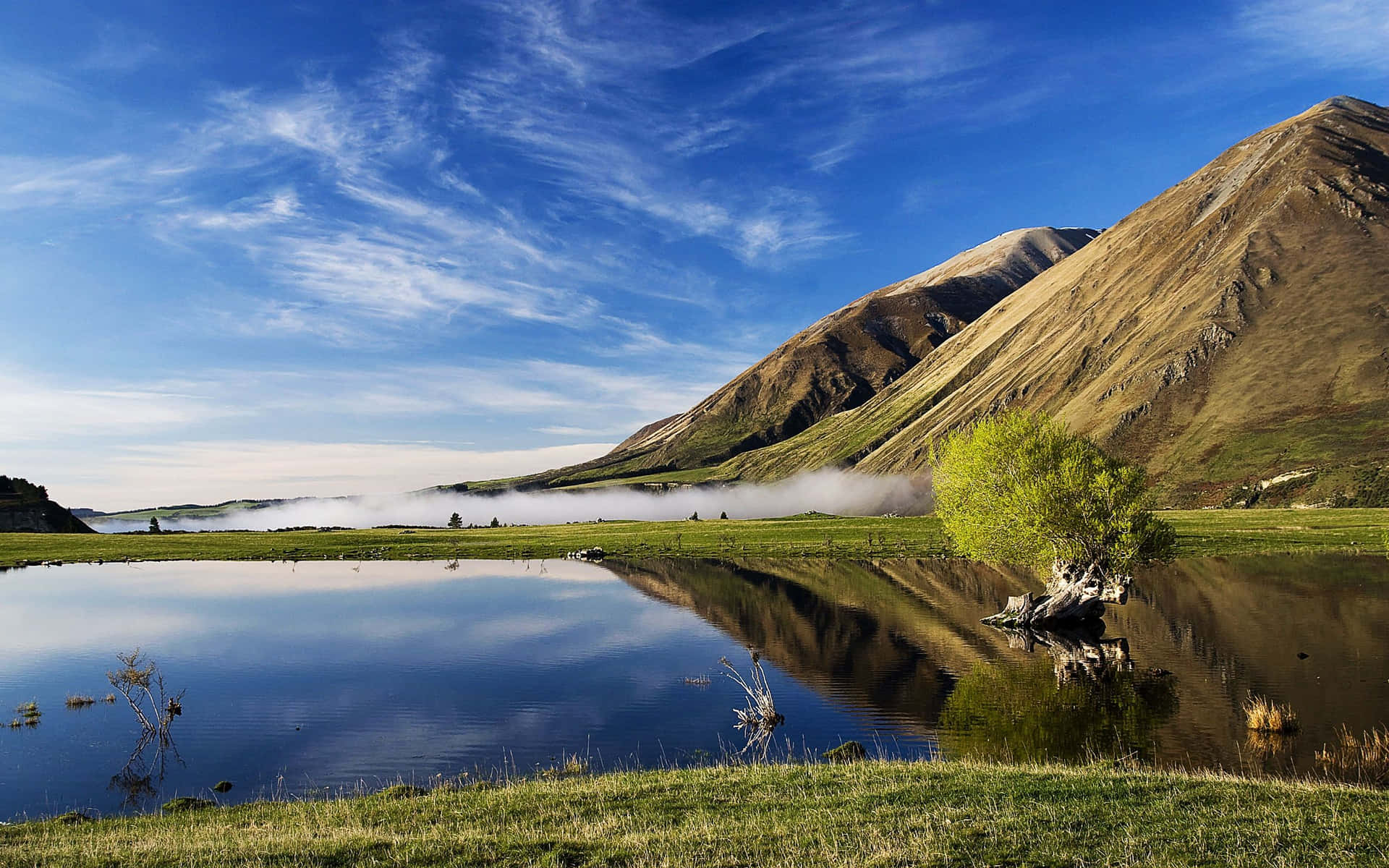 Enjoying the breathtaking beauty of New Zealand