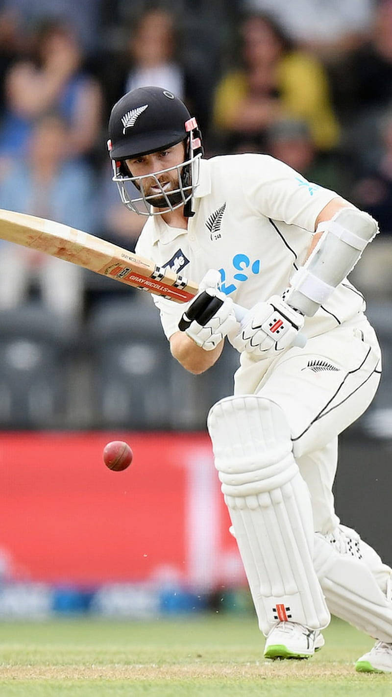 New Zealand Cricket All-white Uniform Wallpaper