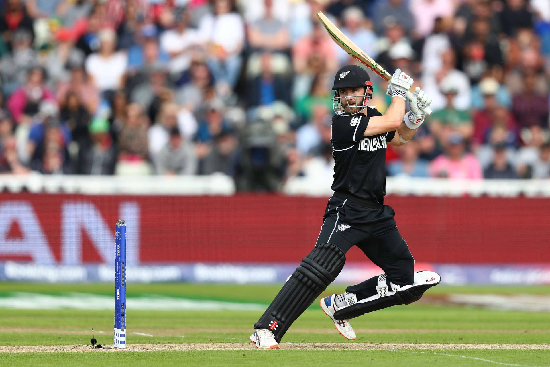 New Zealand Cricket Game With Williamson Wallpaper