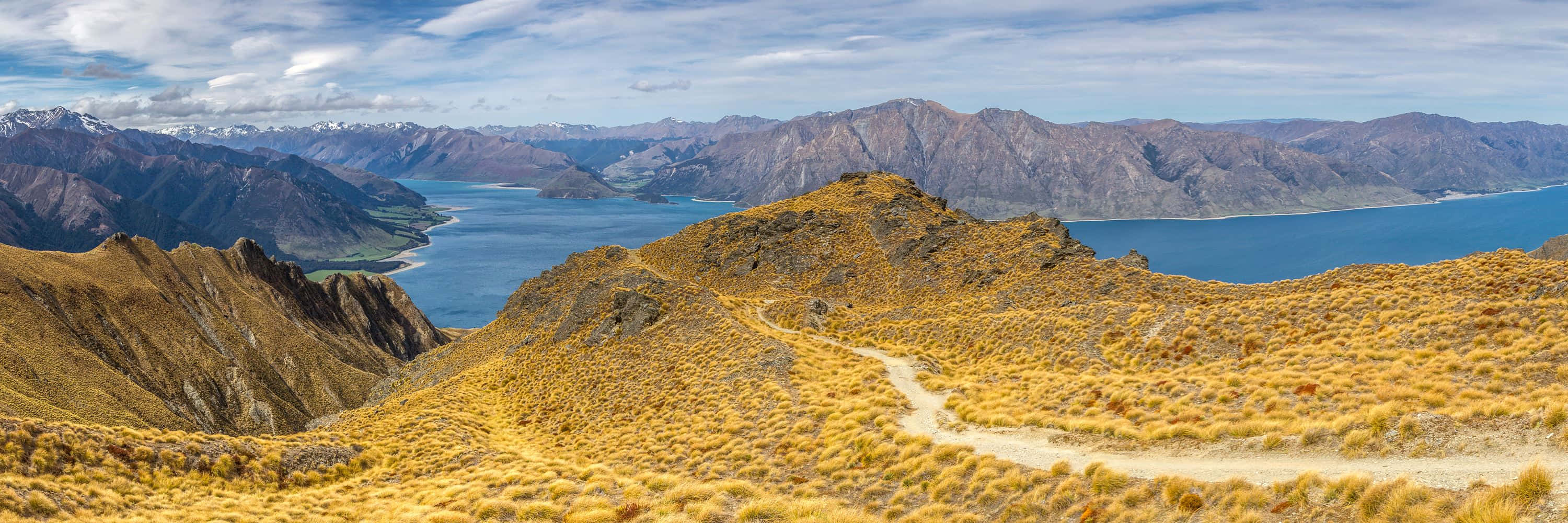 Look Out Below - Take the Adventure on a New Zealandzi Zipline