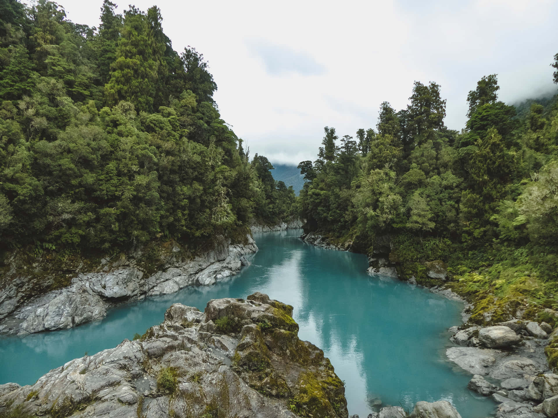 Disfrutadel Hermoso Paisaje De Nueva Zelanda.