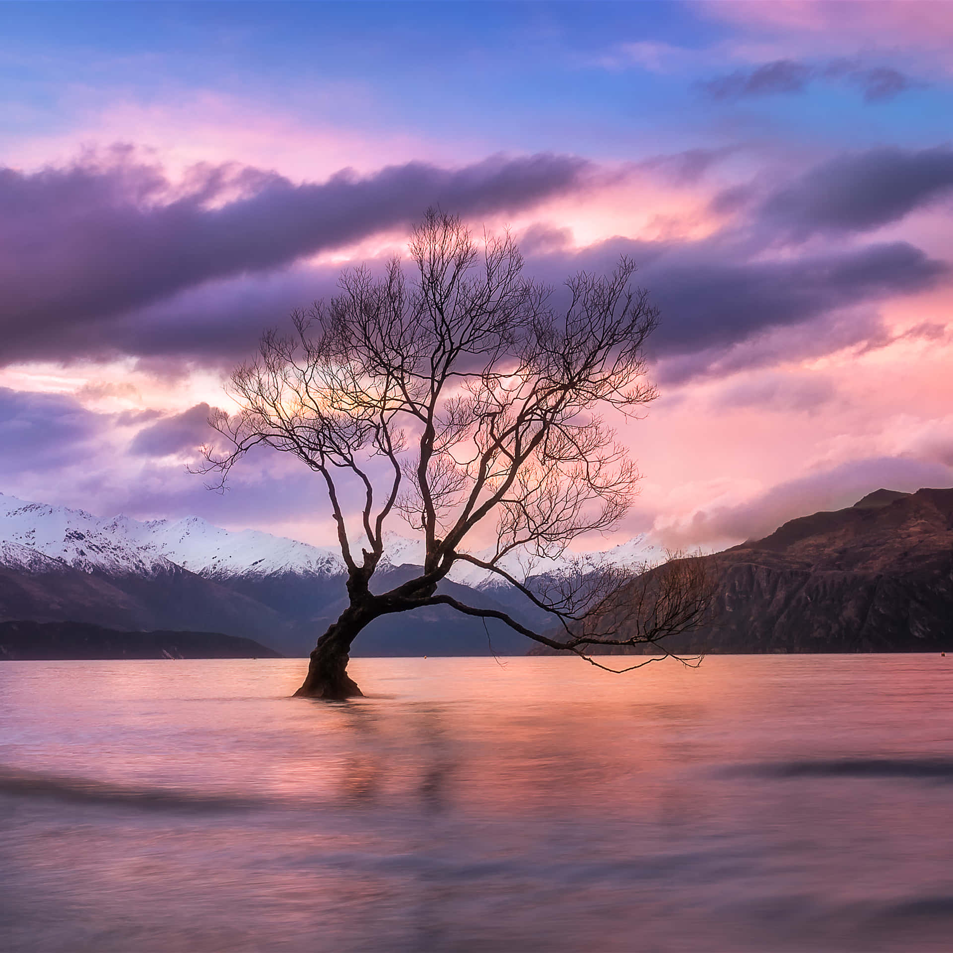 "A stunning view of New Zealand’s green - and sometimes snow-capped - hills.”