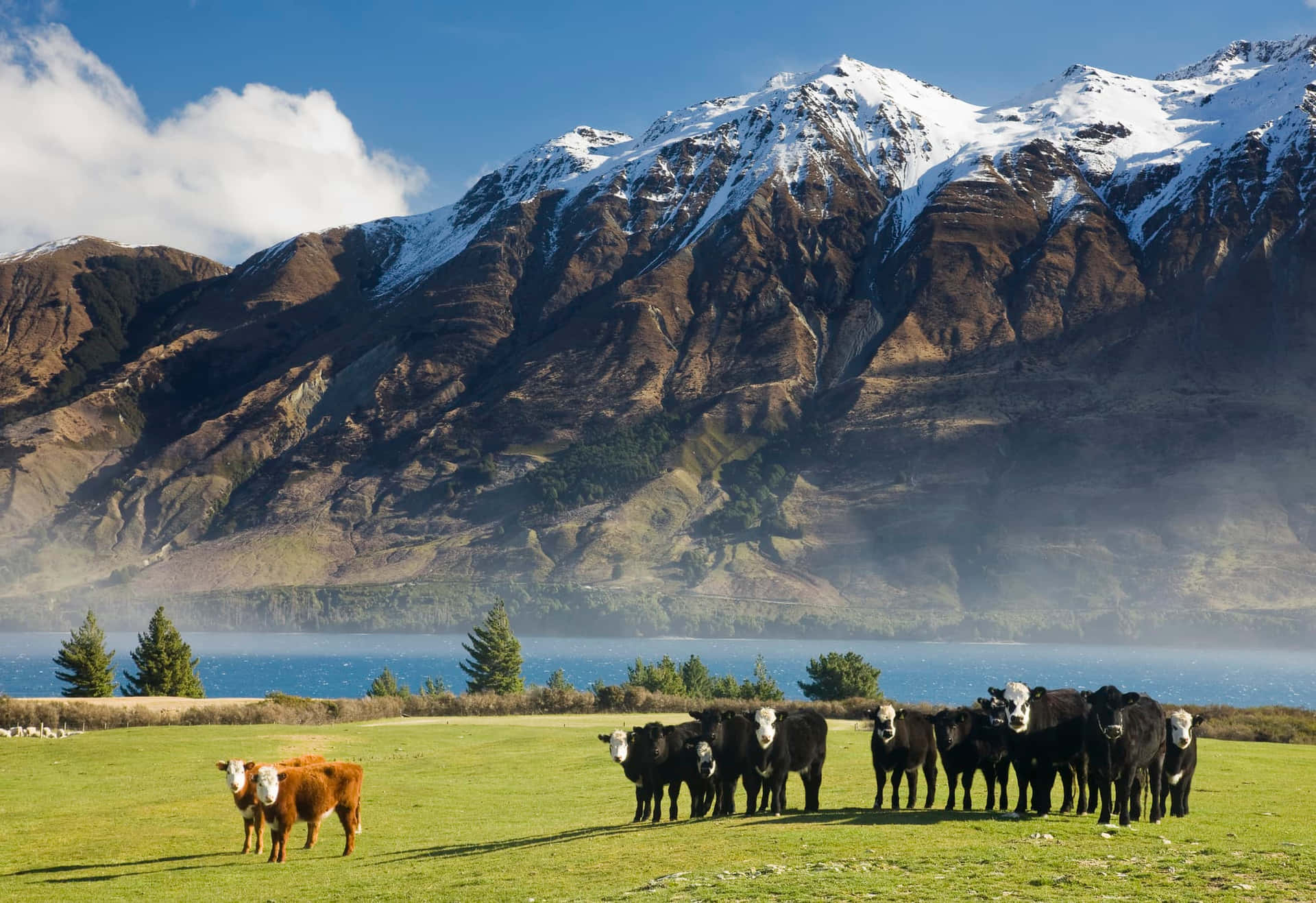 Image  Majestic scenery of New Zealand