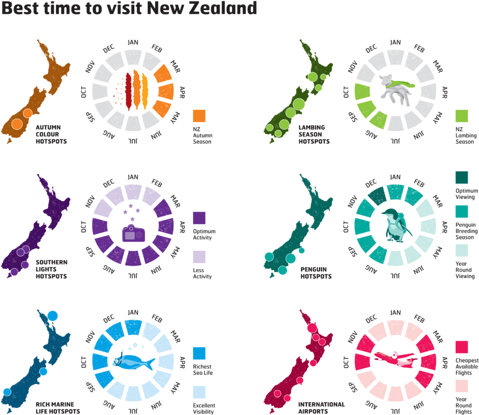 New Zealand Travel Times Infographic PNG