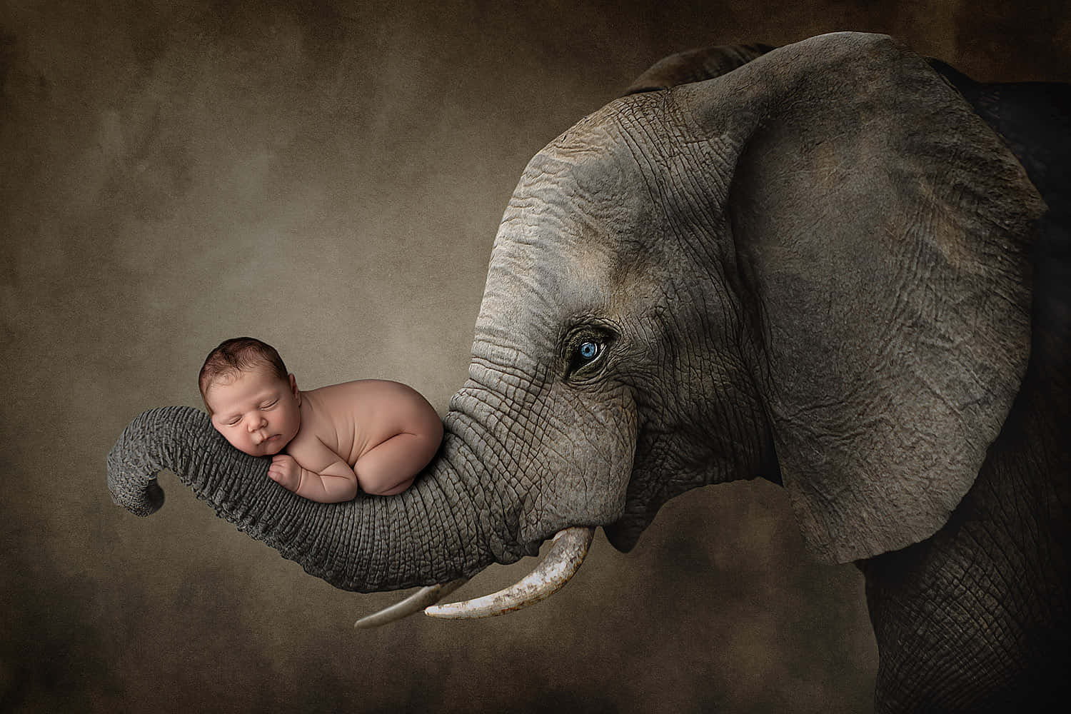 Neugeborenesbaby Bild Mit Einer Größe Von 1500 X 1000 Pixeln