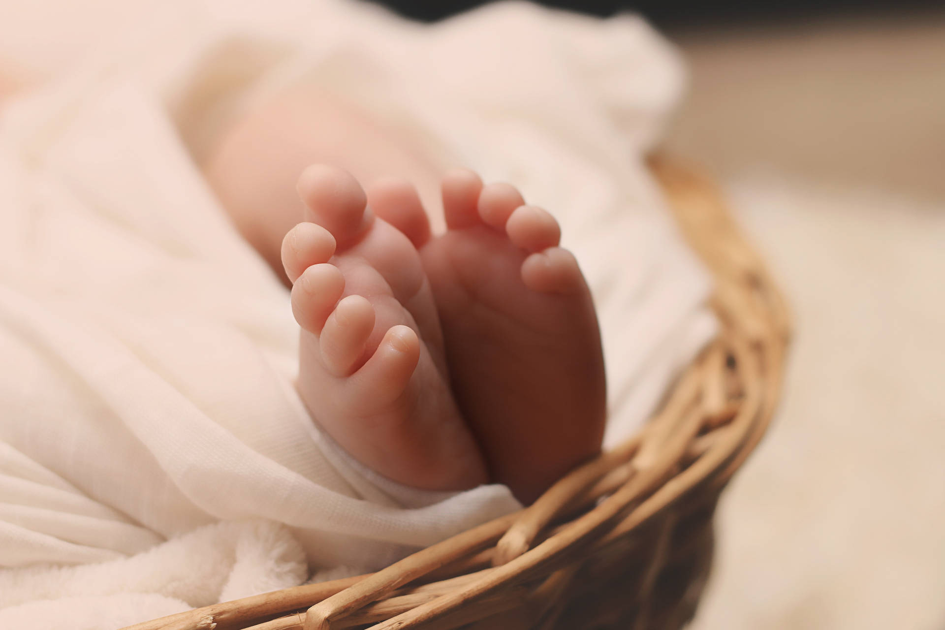 Newborn Baby Girl Basket