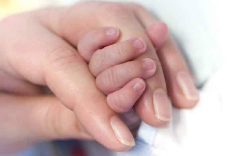 Newborn Baby Handin Parent Hand.jpg PNG