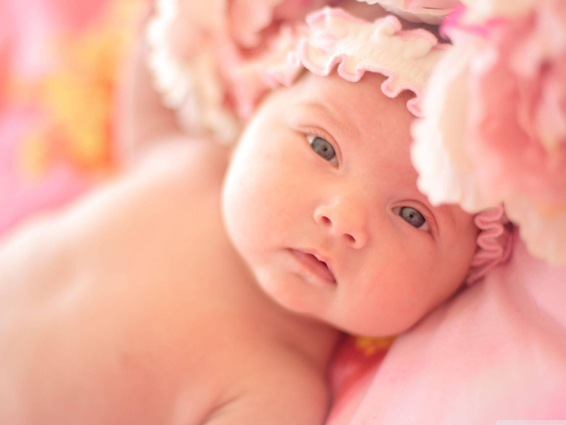 Newborn Baby Tenderly Cradled In Mother's Hands Wallpaper