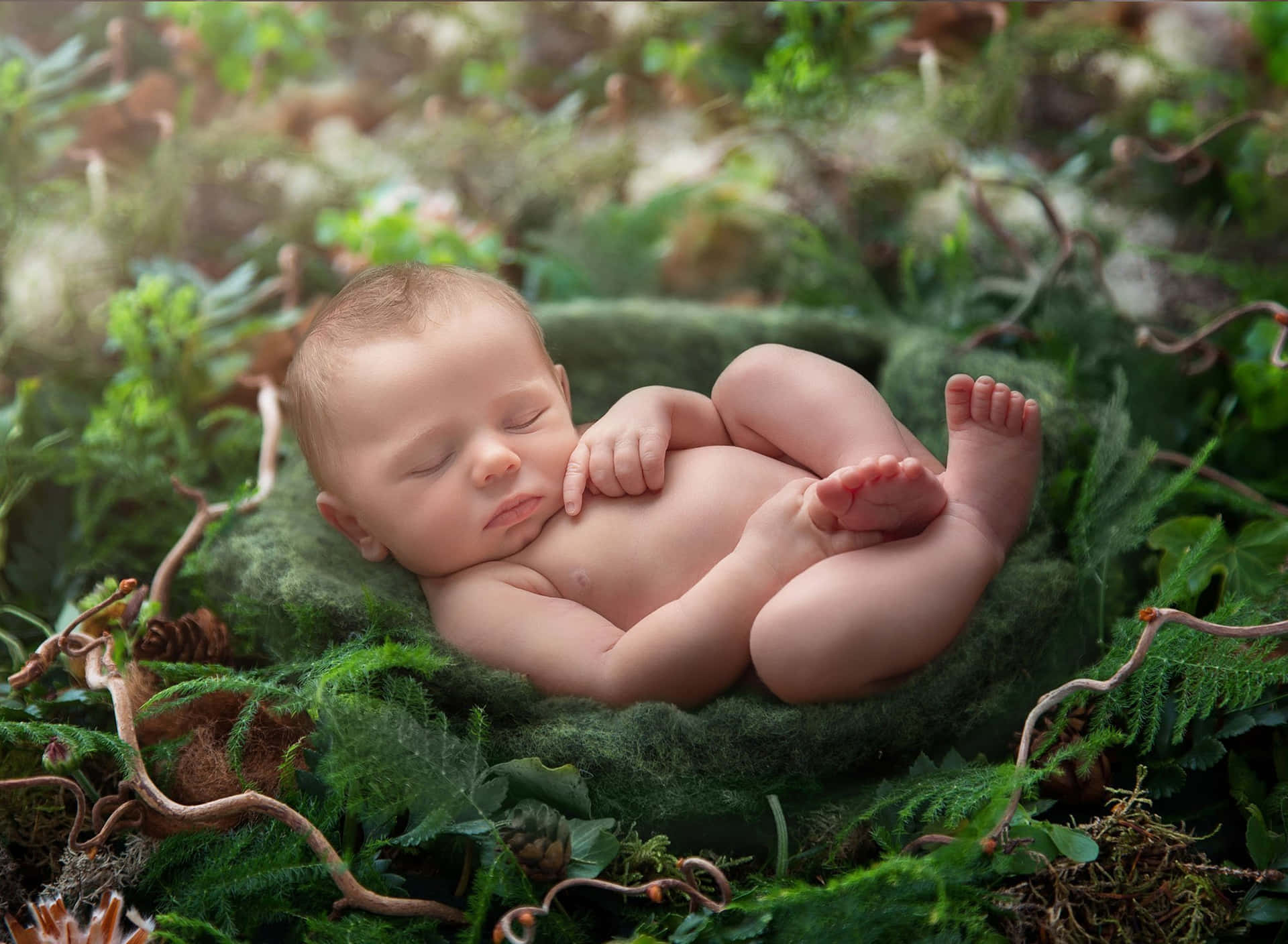 Et billede af en nyfødt dreng i junglen.