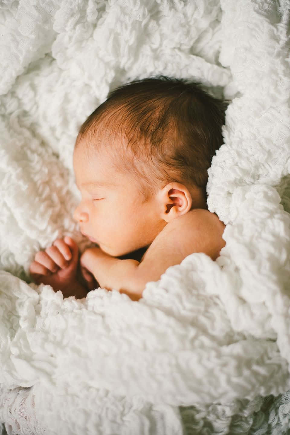 Newborn In Fluffy Blanket Pictures