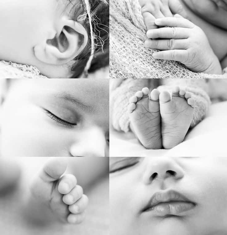 Newborn Black And White Collage Body Parts Pictures