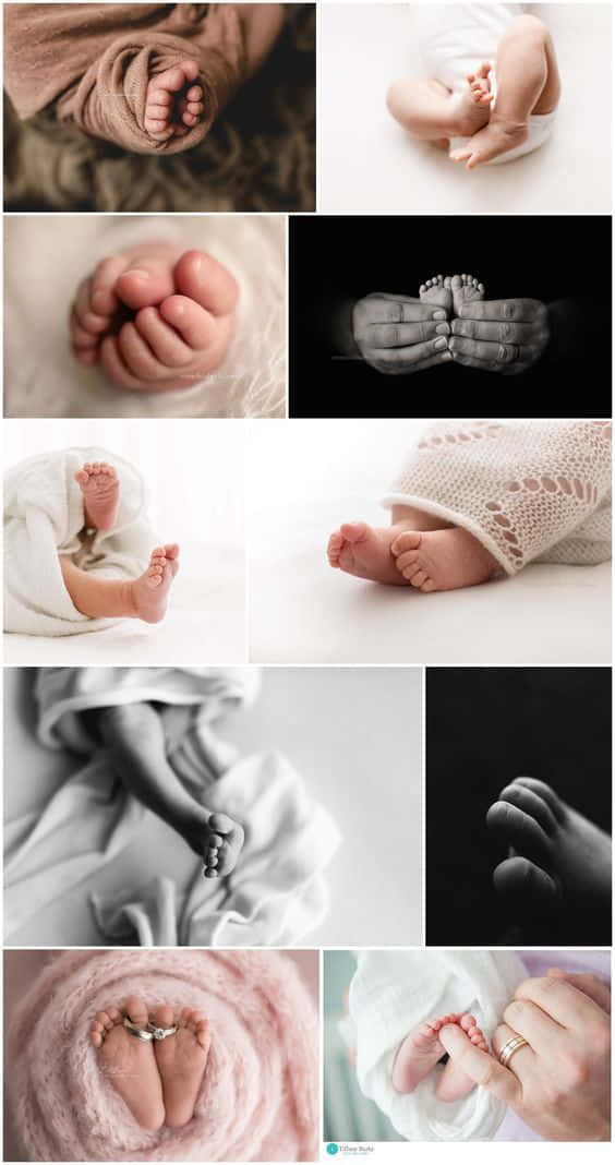 Newborn Tiny Hands In Collage Pictures