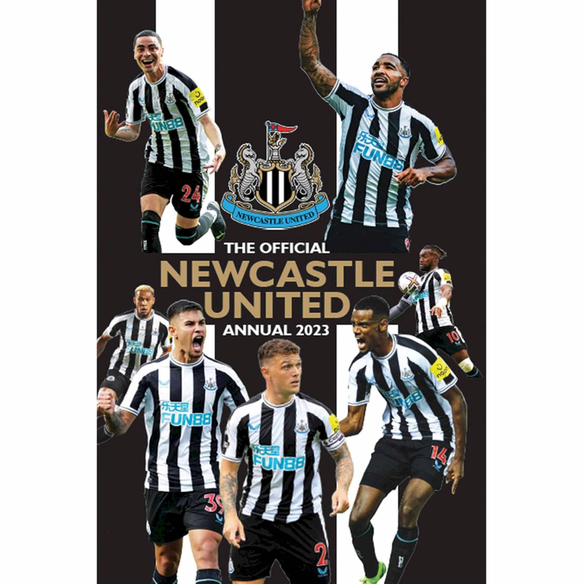 Collagedel Newcastle United Fc Sfondo