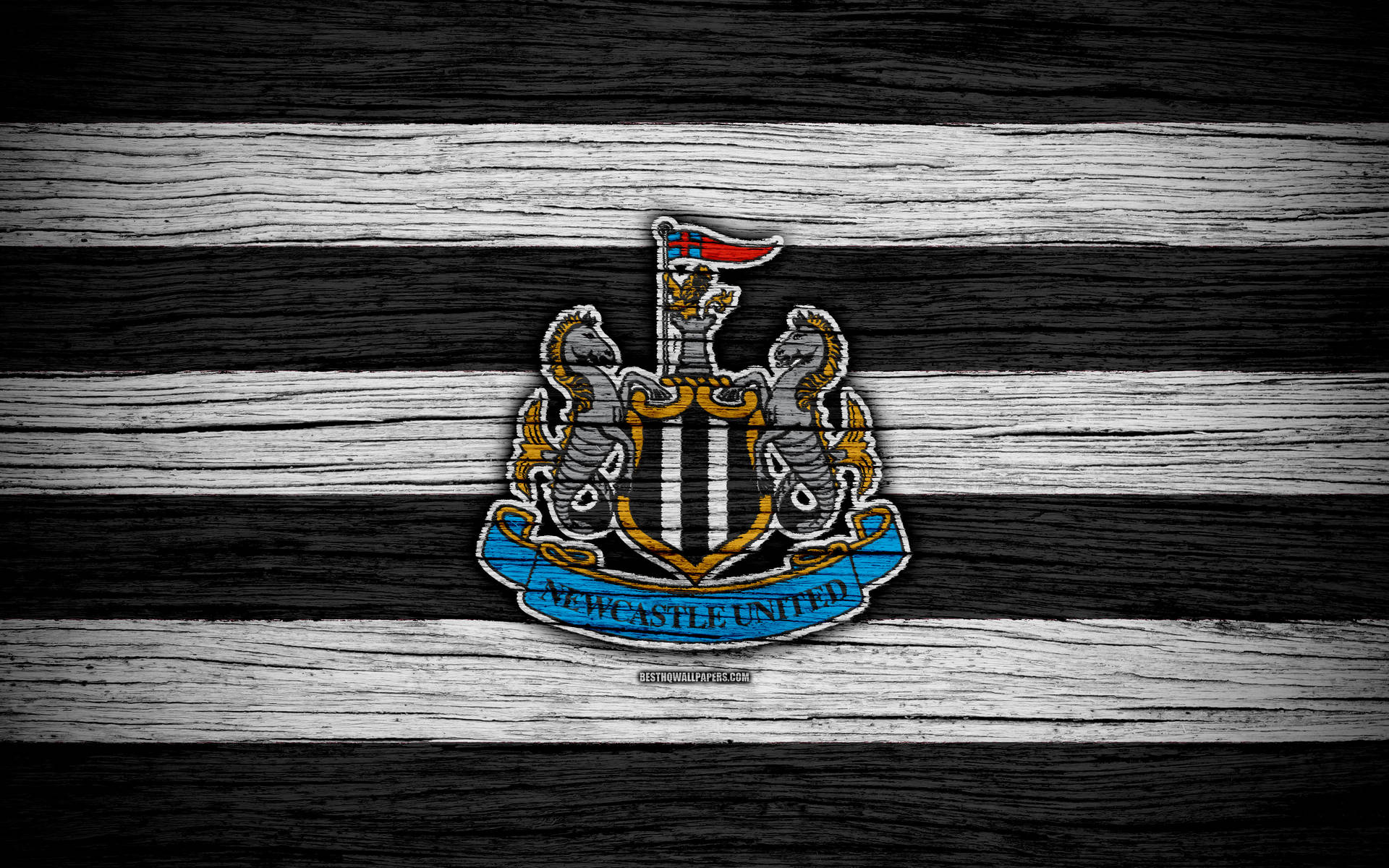 Newcastleunited Fc-logotypen På Trä. Wallpaper