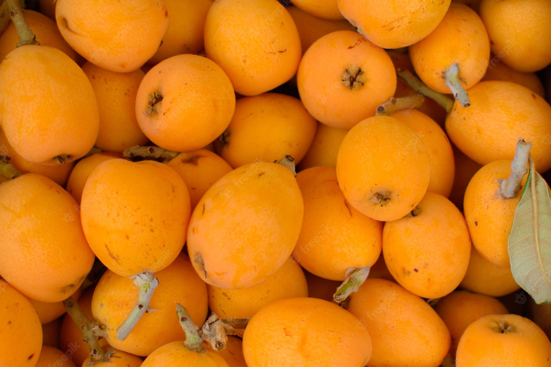 Newly Harvested Loquat Fruits Wallpaper
