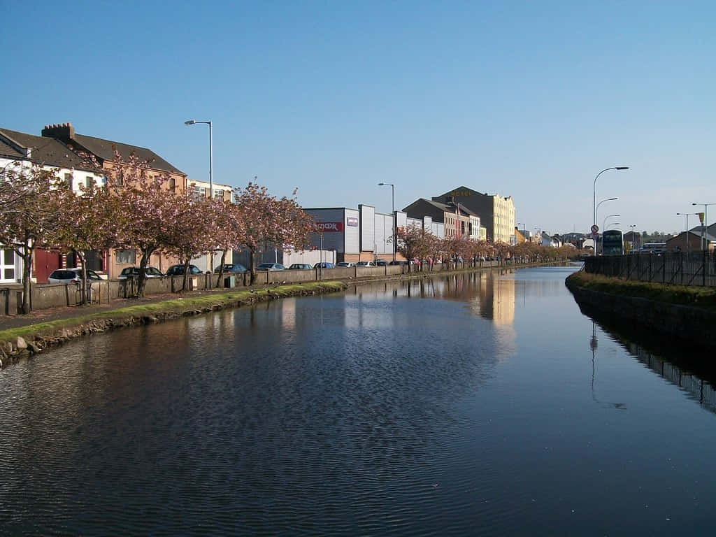 Scénario Printanier Du Canal De Newry Fond d'écran