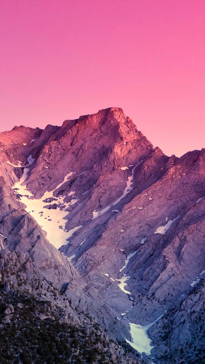 Get the Google Experience with the Nexus 5 Wallpaper