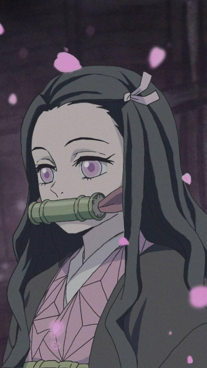 "Take your anime obsession on the go with this Nezuko iPhone wallpaper!" Wallpaper