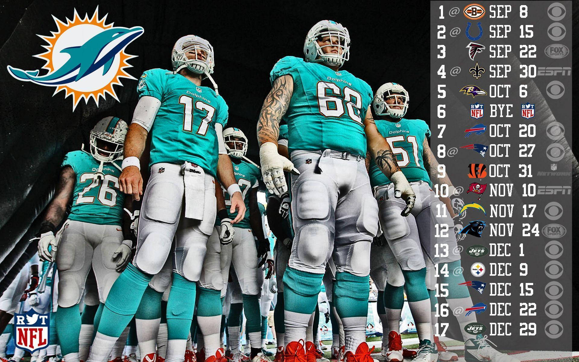 Nfl Miami Dolphins Players With Ryan Tannehill Wallpaper