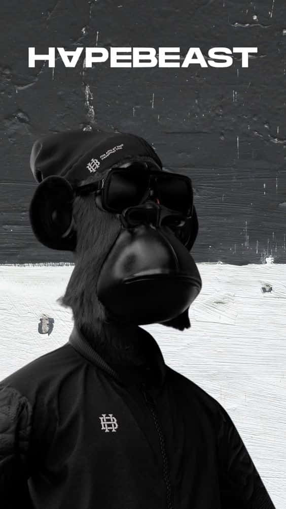 En sort abe med solbriller og en sort jakke Wallpaper