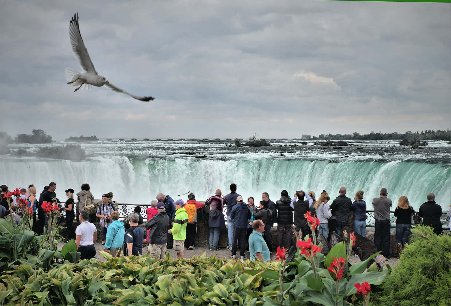 Niagara Falls Niagara Falls Niagara Falls Niagara Falls Nia