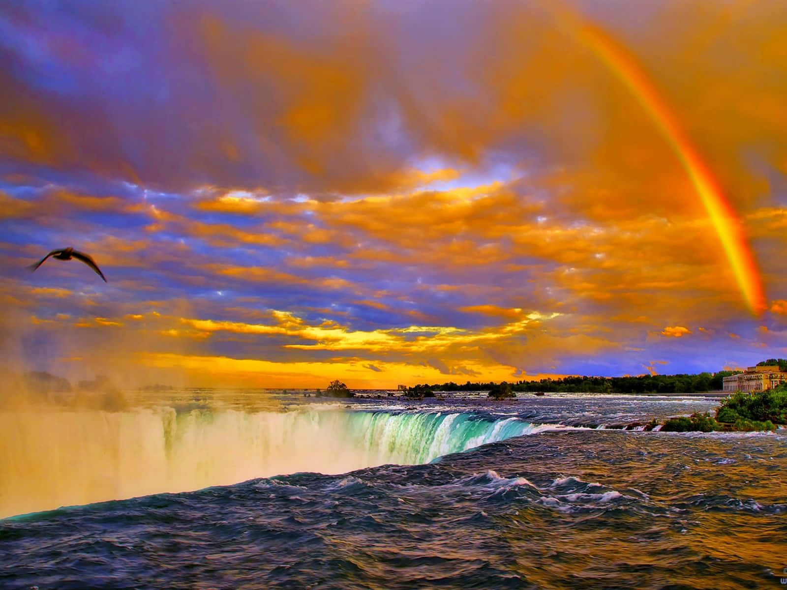 Denbetagende Kraft Af Niagara Falls.