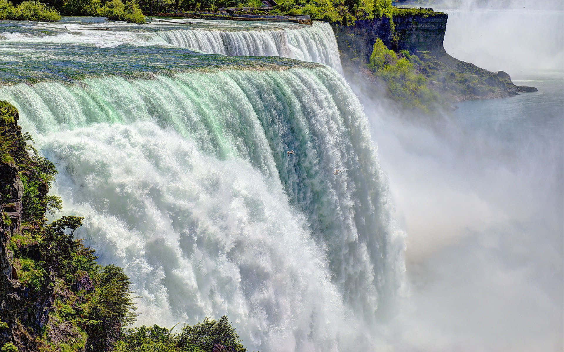 Bildde Mäktiga Niagara Fallen