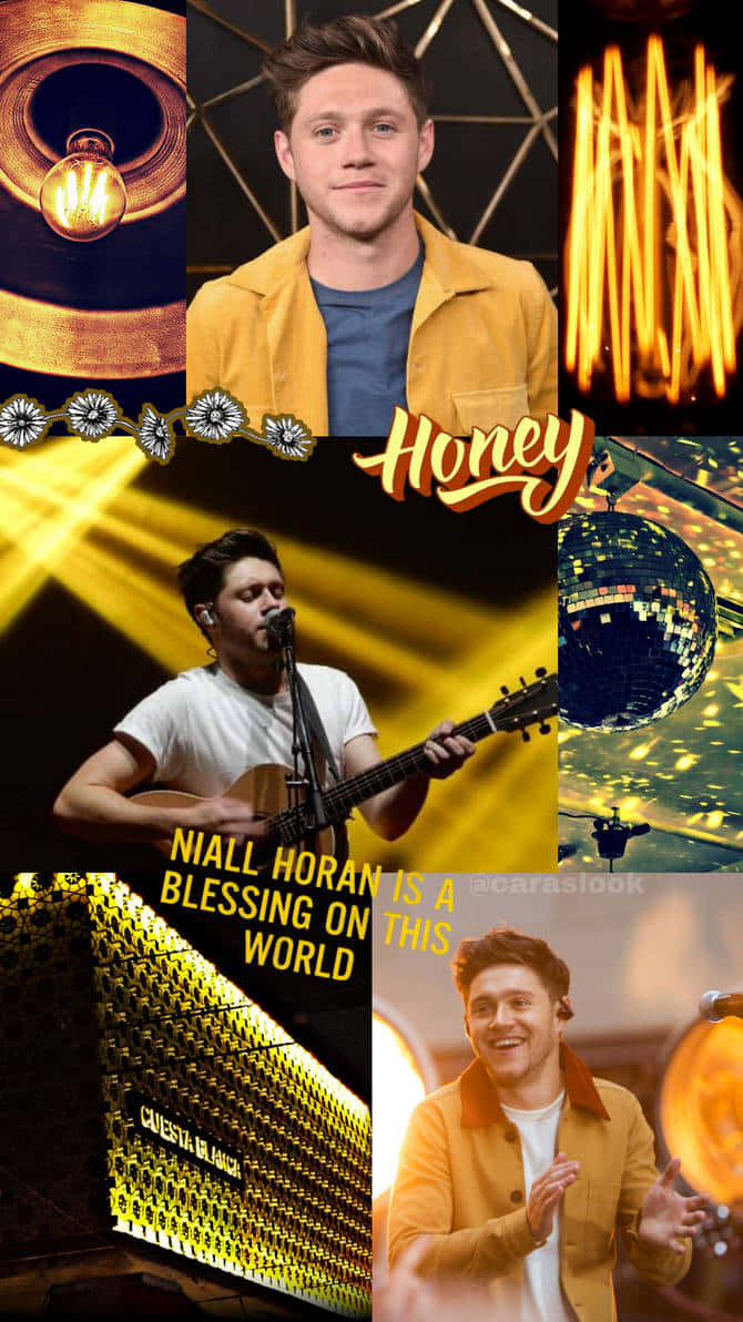 Hommage Collage À Niall Horan Fond d'écran