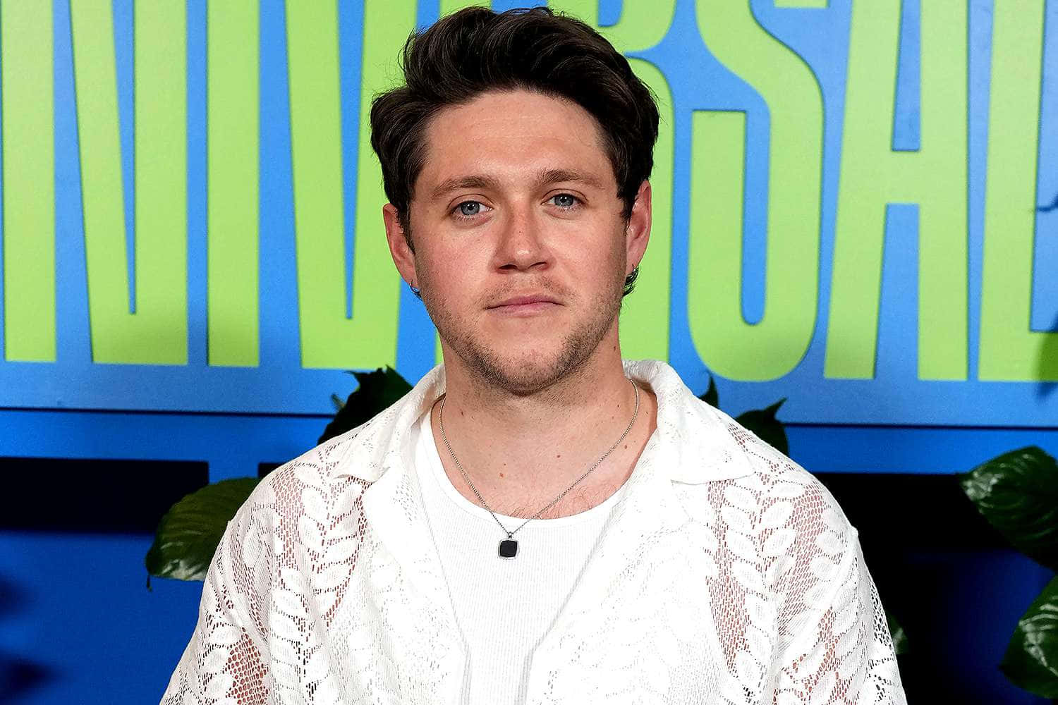 Niall Lavalla Konserttiaikana Taustakuva