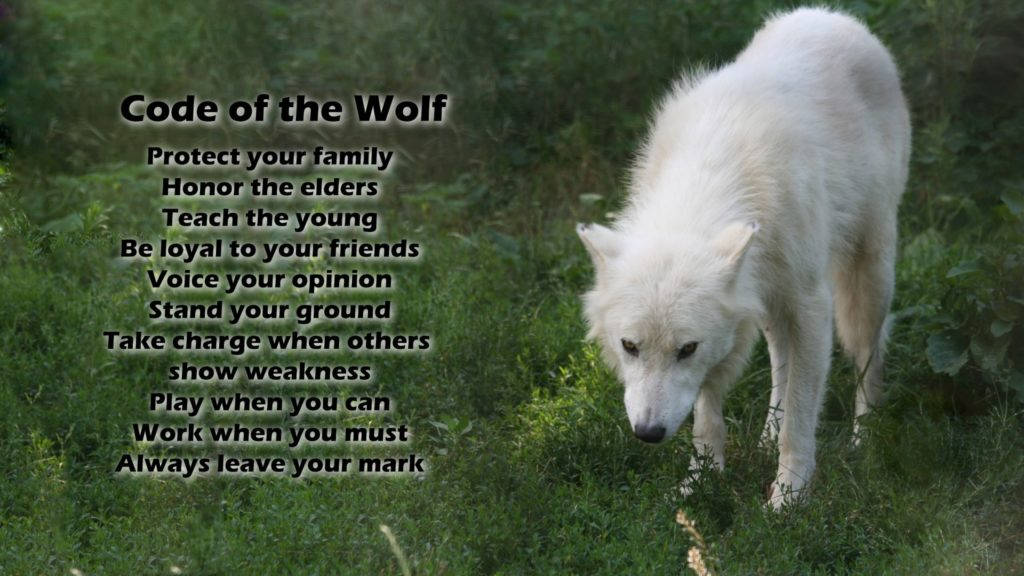 Nice Code Of The Wolf Wallpaper