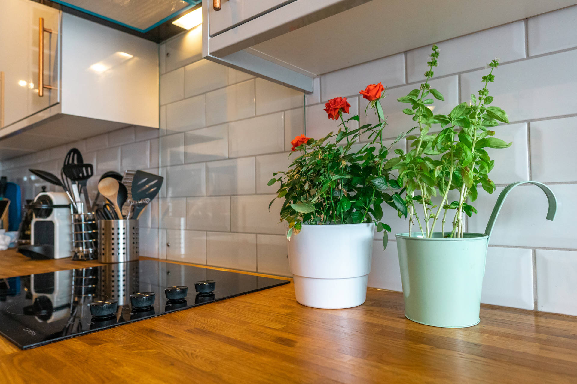 Nice Kitchen Countertop With Two Potted Plants Wallpaper