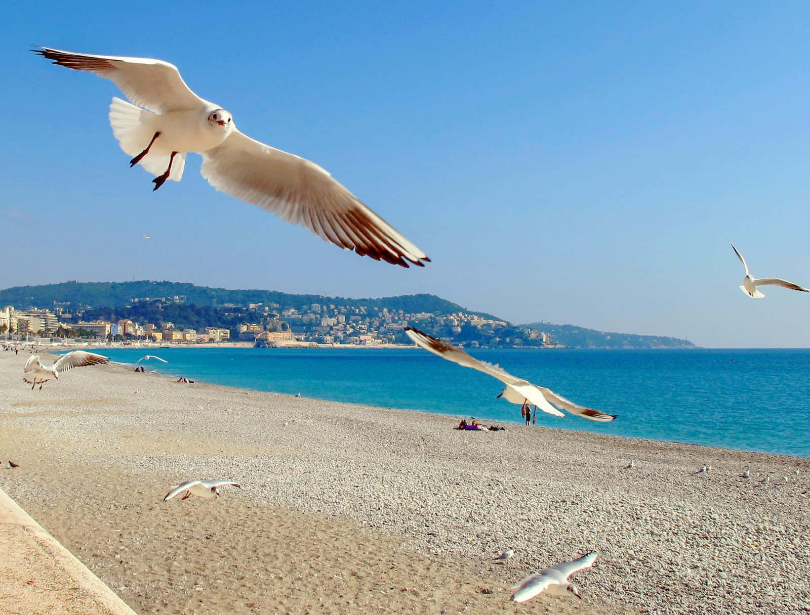 Enjoying the Mediterranean Sun in Nice, France