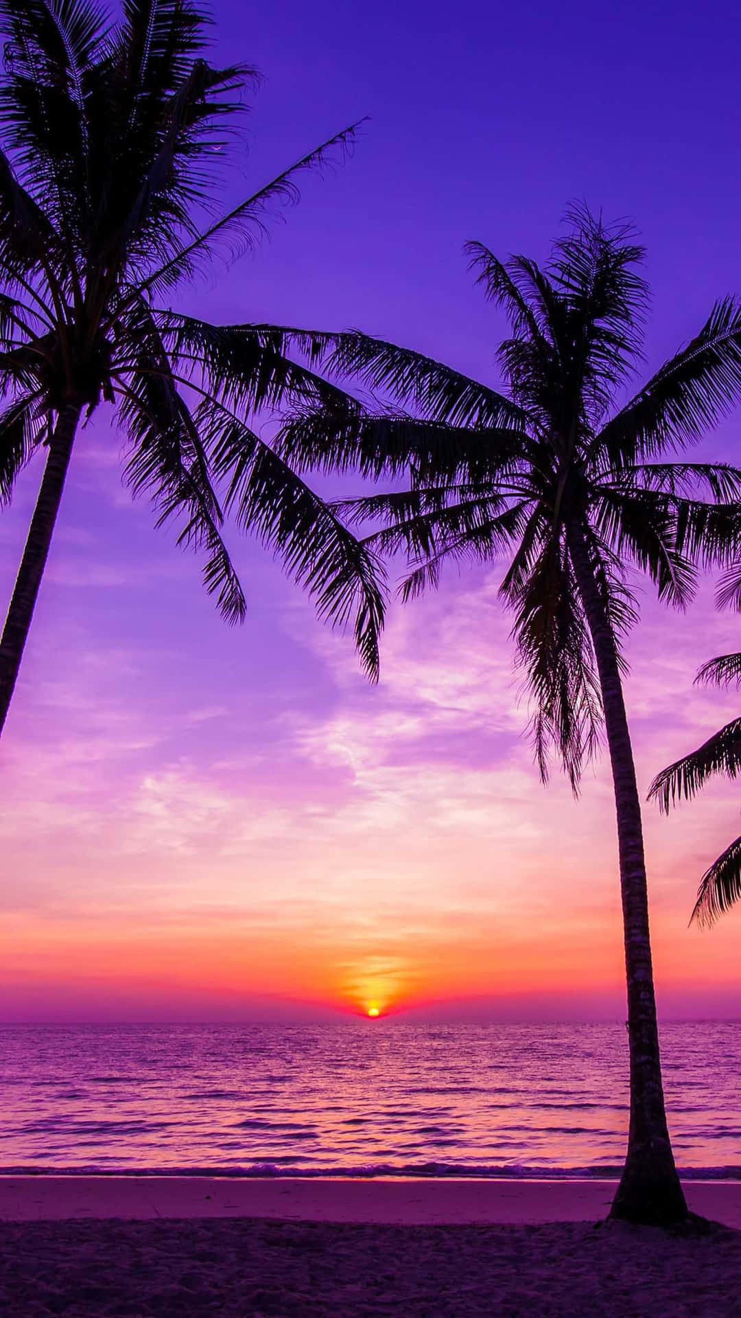 A Sunset With Palm Trees On A Beach