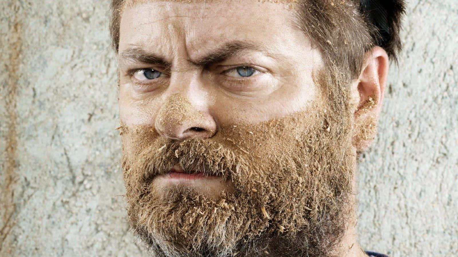 Nick Offerman, American Actor, Producer and Comedian Wallpaper
