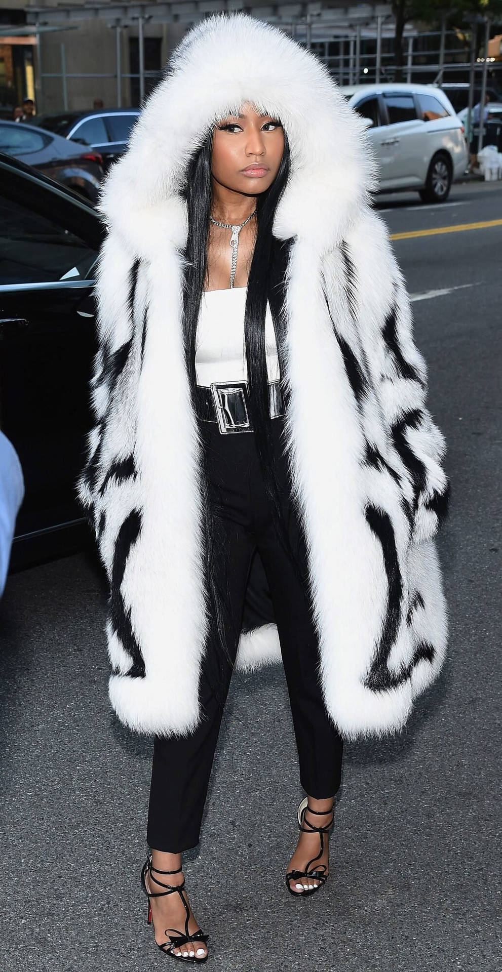 Nicki Minaj wearing animal fur coat wallpaper