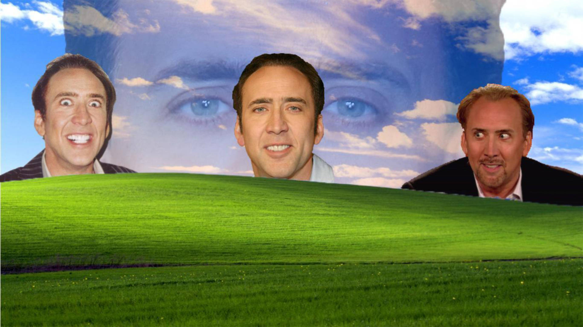 Nicolas Cage Meme Bliss Meadow