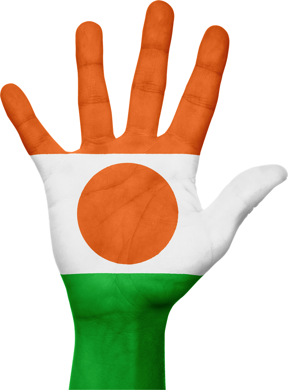 Niger Flag Painted Hand PNG