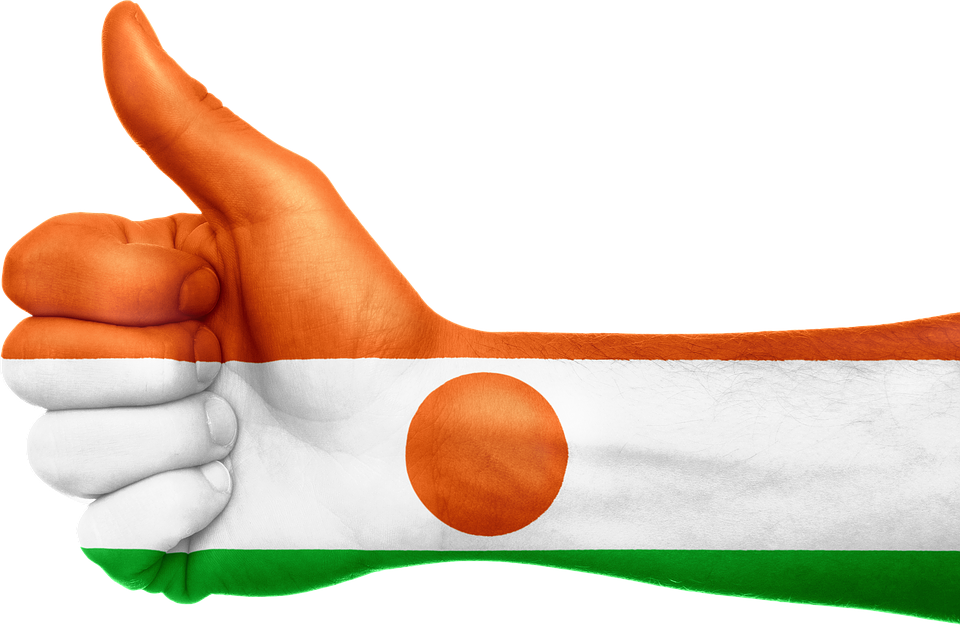 Niger Flag Thumbs Up Gesture PNG