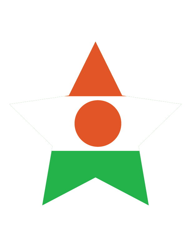 Niger National Flag Graphic PNG