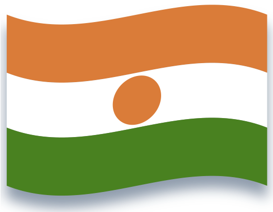 Niger National Flag Waving PNG