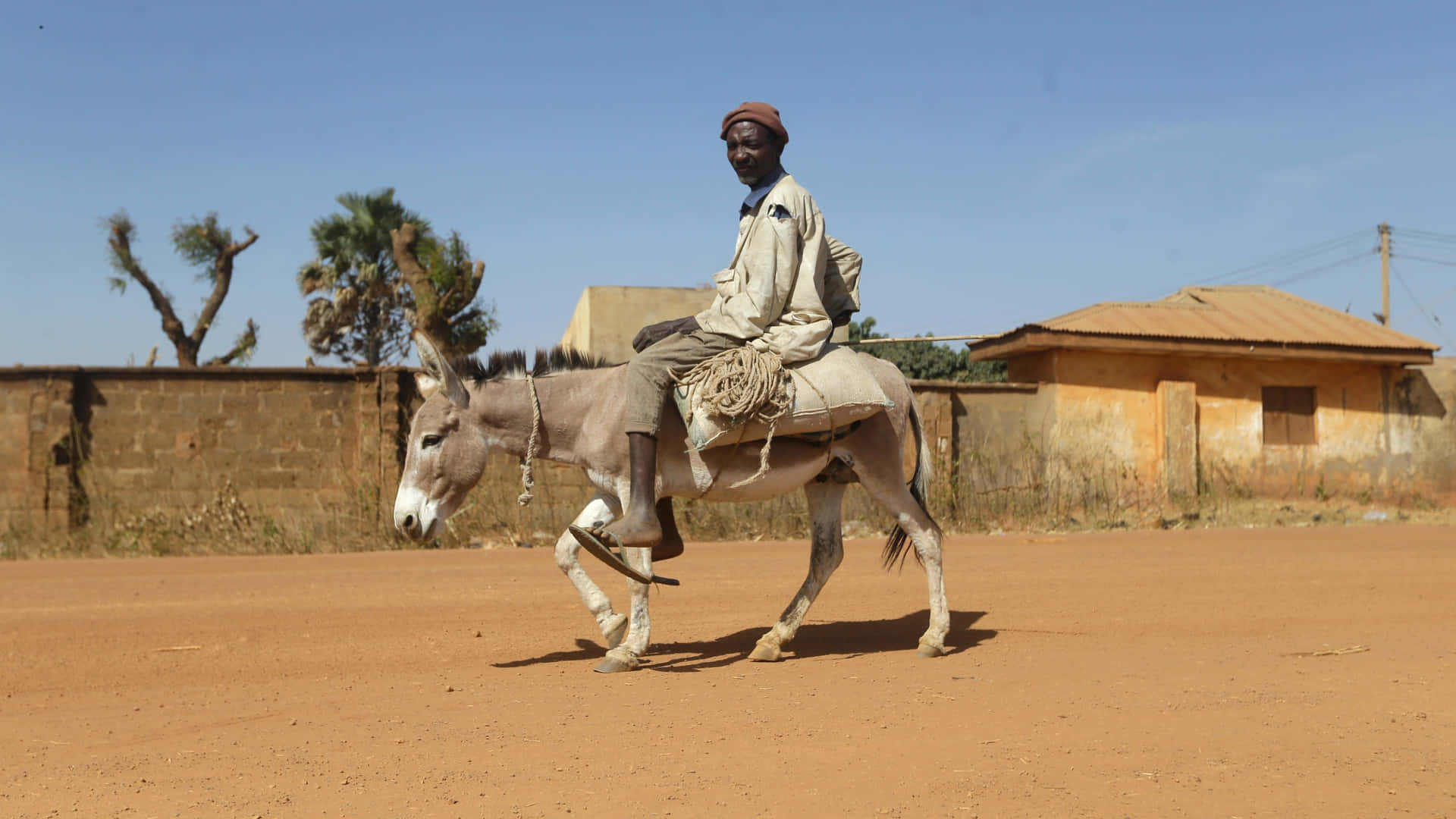 Nigerian Man Riding A Mule Wallpaper