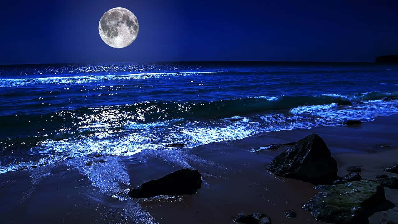 “Stunning View of a Night Beach”