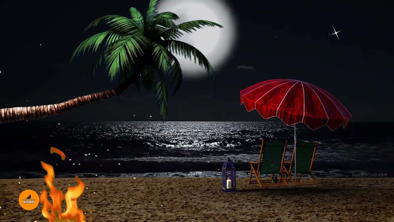 Bildav Palmträd I Månsken På En Strand På Natten