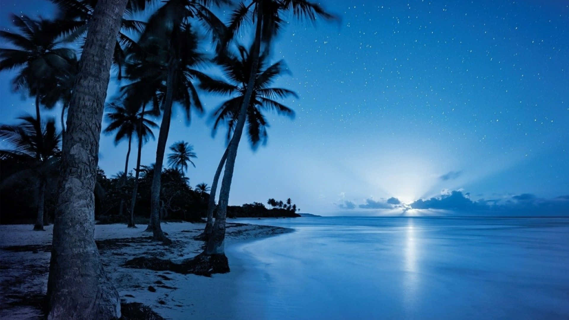 Light Blue Night Beach Picture
