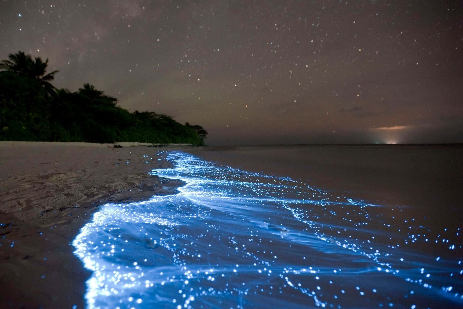 Immaginedella Spiaggia Notturna Con Onda Di Colore Azzurro Brillante